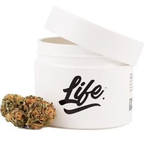 LIFE CBD TROPICAL KUSH 10GR