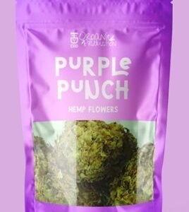 CBD ORGANIC PURPLE PUNCH 10GR (ANTIGUO PURPLE KUSH 10GR)