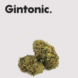 LIFE CBD GINTONIC 10GR